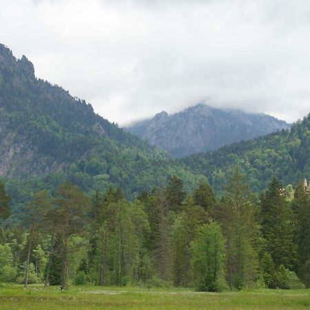 슈방가우 Bergmomente Neuschwanstein 아파트 외부 사진